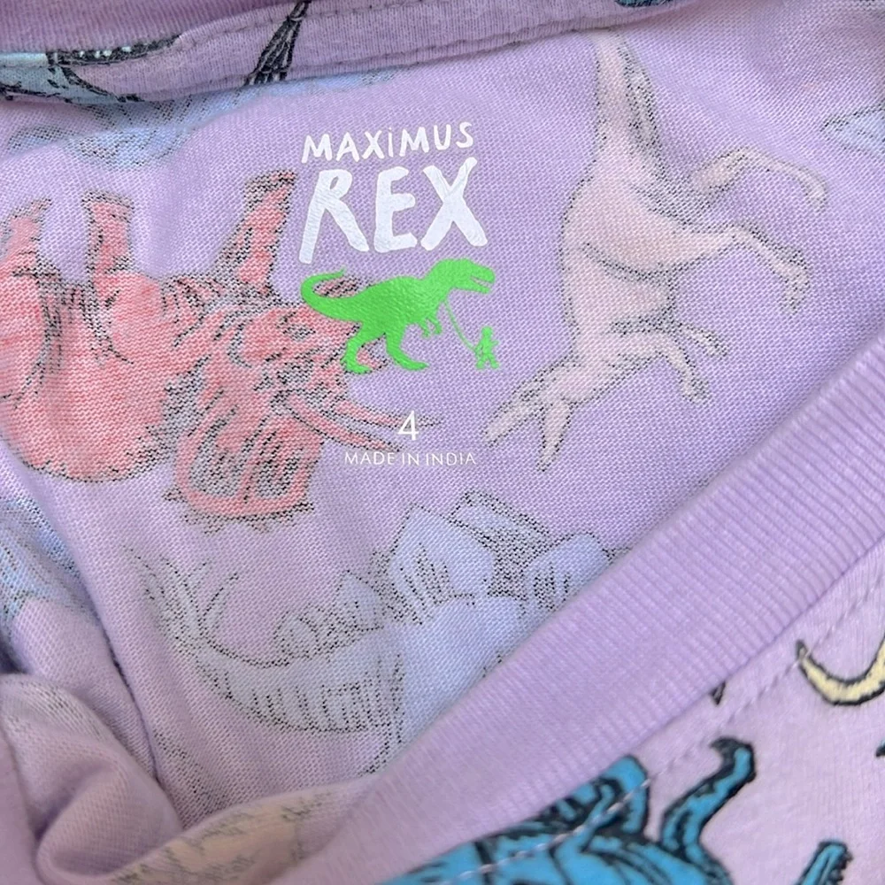 MAXIMUS REX || Toddler Boy (4T) Multi-color Dinosaur Tee - Picture 4 of 4